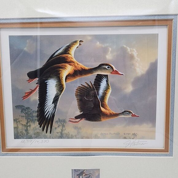James Hautman 1990 Federal Duck Stamp Print With Stamp Whistling Tree Ducks 1989 - Picture 3 of 13